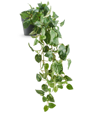 La Vigne dorée suspendue artificielle en pot 80 cm UV a des feuilles brillantes en forme de cœur et de longues vrilles sinueuses émergeant d'un pot gris foncé, ce qui en fait une pièce décorative élégante.