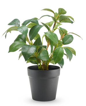 Plante artificielle de Jasmin en pot 25 cm UV