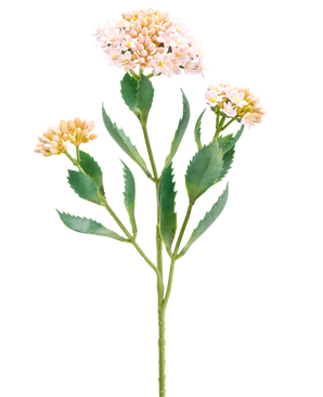 La Fleur Artificielle Kalanchoe 47 cm rose a une seule tige verte avec trois bouquets de petites fleurs rose clair et couleur pêche et des feuilles vertes allongées dentelées, isolées sur un fond blanc.