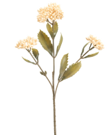 La Fleur Artificielle Kalanchoe 47 cm crème possède une seule tige artificielle avec trois bouquets de petites fleurs crème clair et des feuilles vertes dentelées, sur un fond blanc uni.