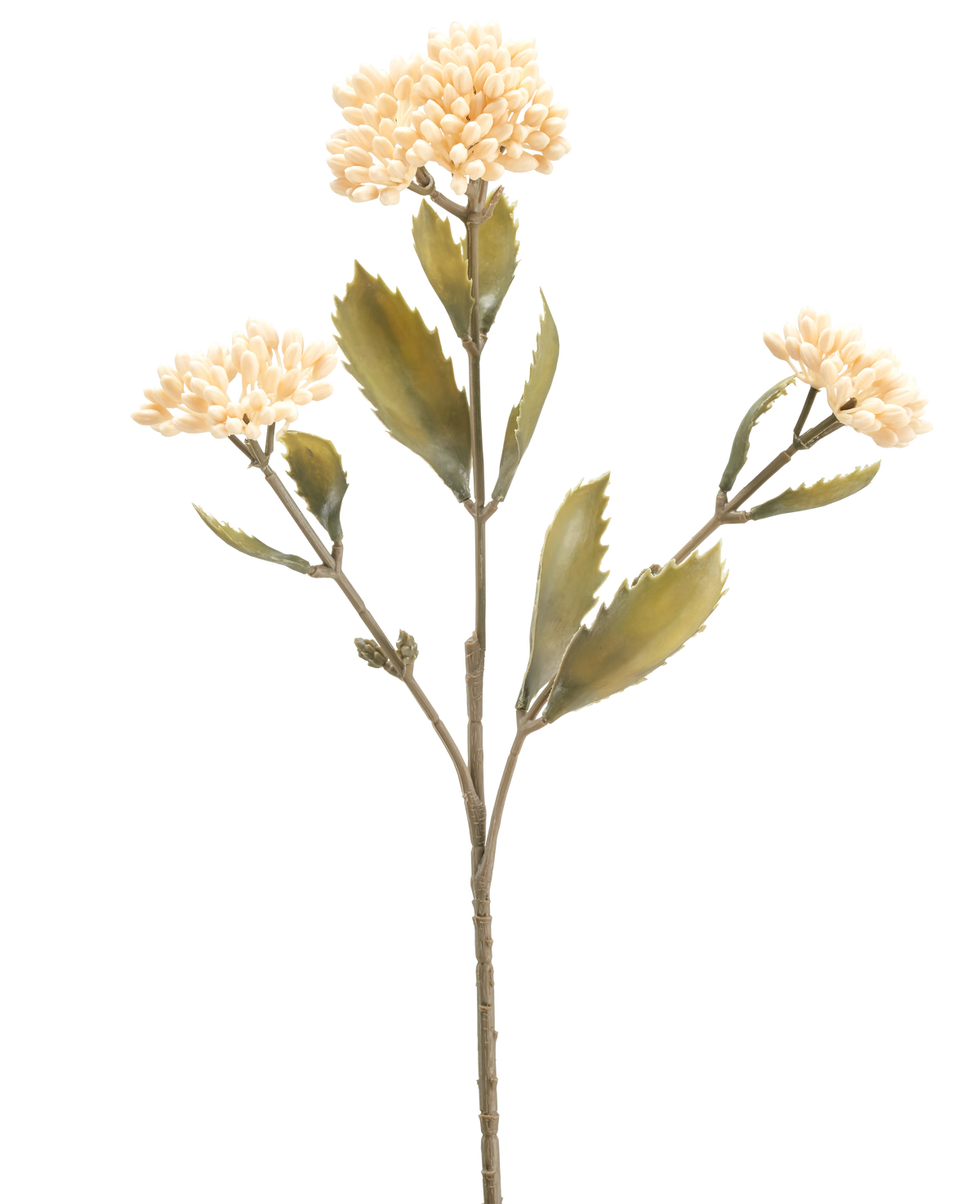 La Fleur Artificielle Kalanchoe 47 cm crème possède une seule tige artificielle avec trois bouquets de petites fleurs crème clair et des feuilles vertes dentelées, sur un fond blanc uni.