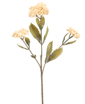 La Fleur Artificielle Kalanchoe 47 cm crème possède une seule tige artificielle avec trois bouquets de petites fleurs crème clair et des feuilles vertes dentelées, sur un fond blanc uni.
