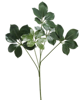 La Branche Artificielle Schefflera 50 cm FR a une tige unique avec plusieurs bouquets de larges feuilles vert foncé et quelques feuilles vert plus clair, sur fond blanc.