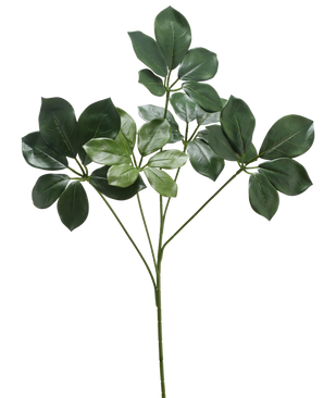 La Branche Artificielle Schefflera 50 cm FR a une tige unique avec plusieurs bouquets de larges feuilles vert foncé et quelques feuilles vert plus clair, sur fond blanc.