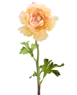 La Fleur Artificielle Renoncule 51 cm rose saumon a une seule fleur de renoncule artificielle dans des tons rose saumon doux avec des pétales superposés et des feuilles vertes sur une longue tige, sur un fond blanc.