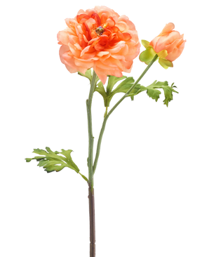 Une seule tige de la fleur artificielle Ranunculus 51 cm rose clair avec une grande fleur rose clair en pleine floraison, un bourgeon plus petit et des feuilles vertes sur fond blanc.