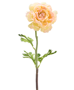 Une fleur artificielle de renoncule de 51 cm blanc clair : une seule fleur de renoncule artificielle pâle avec des pétales blanc clair, des feuilles vertes et une longue tige sur un fond blanc.