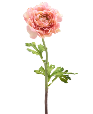 La Fleur Artificielle Renoncule 51 cm rose possède une seule renoncule rose avec des pétales superposés et des feuilles vertes sur une longue tige, isolée sur un fond blanc.