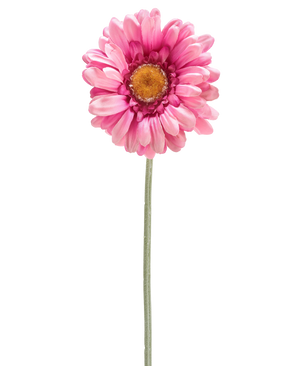 La Fleur Artificielle Gerbera 53 cm rose foncé est une simple marguerite artificielle rose foncé avec un coeur jaune sur une longue tige verte, isolée sur fond blanc.