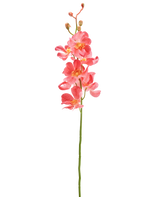 La fleur d'orchidée artificielle 55 cm rose a une seule tige avec des fleurs d'orchidée rose vif avec de multiples fleurs et bourgeons ouverts, sur un fond blanc uni.