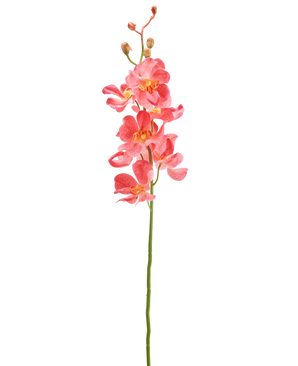 La fleur d'orchidée artificielle 55 cm rose a une seule tige avec des fleurs d'orchidée rose vif avec de multiples fleurs et bourgeons ouverts, sur un fond blanc uni.