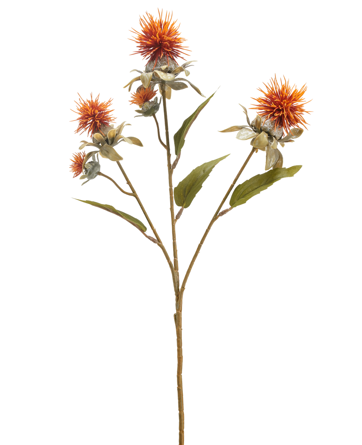 La Fleur Artificielle Carthame 57 cm vieux orange a une seule tige avec trois fleurs orange épineuses ressemblant à un chardon et plusieurs feuilles vertes, isolées sur un fond blanc.