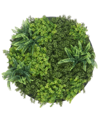 Cadre vegetal artificiel Ø80 cm Mousse Cadre noir UV