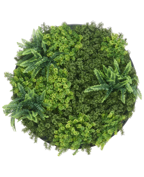 Cadre vegetal artificiel Ø80 cm Mousse Cadre noir UV
