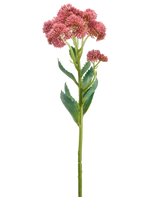 Une seule tige de la fleur artificielle Sedum 57 cm mauve présente des bouquets de petites fleurs mauves en forme d'étoile et des feuilles vertes, représentées sur un fond blanc.
