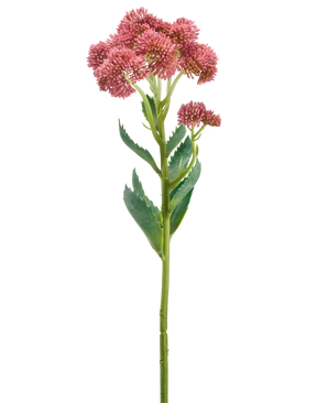 Une seule tige de la fleur artificielle Sedum 57 cm mauve présente des bouquets de petites fleurs mauves en forme d'étoile et des feuilles vertes, représentées sur un fond blanc.
