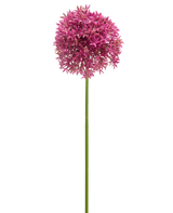 La Fleur Artificielle Mini Allium 60 cm mauve possède une longue tige verte surmontée d'une grande grappe sphérique de petites fleurs mauves en forme d'étoile, représentées sur un fond blanc.