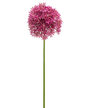 La Fleur Artificielle Mini Allium 60 cm mauve possède une longue tige verte surmontée d'une grande grappe sphérique de petites fleurs mauves en forme d'étoile, représentées sur un fond blanc.