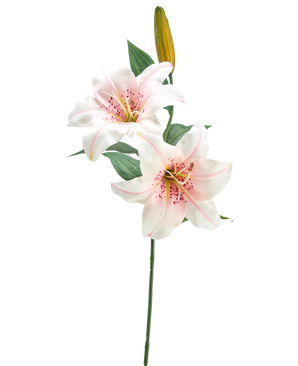 La Fleur de Lys Artificielle 66 cm blanc/rose a une seule tige avec deux lys blancs et roses ouverts, un bouton jaune fermé et des feuilles vertes, sur un fond blanc uni.