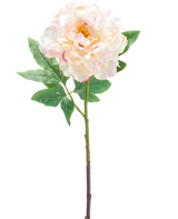 La fleur artificielle pivoine 61 cm crème est une fleur de pivoine artificielle rose clair et crème avec des feuilles vertes et une longue tige, représentée sur un fond blanc.