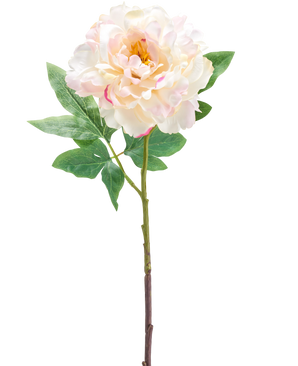 La fleur artificielle pivoine 61 cm crème est une fleur de pivoine artificielle rose clair et crème avec des feuilles vertes et une longue tige, représentée sur un fond blanc.