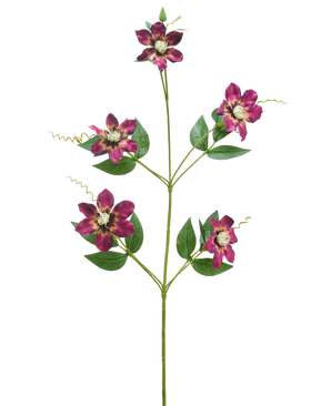 La Fleur Artificielle Celematis 78 cm violet a une seule tige verte avec cinq fleurs violettes épanouies, chacune avec des pétales pointus et un cœur jaune, entourées de feuilles vertes et de vrilles enroulées, isolées sur un fond blanc.