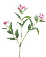 Une fleur artificielle de Catharanthus de 68 cm en fuchsia/crème avec de longues feuilles vertes minces et des grappes de fleurs à cinq pétales est présentée sur un fond blanc uni.