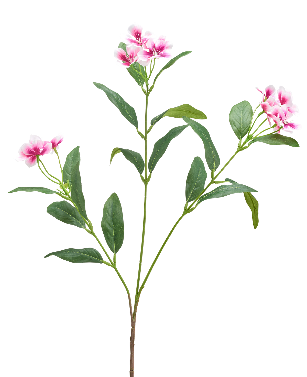 Une fleur artificielle de Catharanthus de 68 cm en fuchsia/crème avec de longues feuilles vertes minces et des grappes de fleurs à cinq pétales est présentée sur un fond blanc uni.