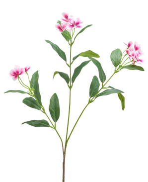Une fleur artificielle de Catharanthus de 68 cm en fuchsia/crème avec de longues feuilles vertes minces et des grappes de fleurs à cinq pétales est présentée sur un fond blanc uni.