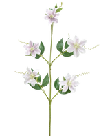 La fleur artificielle Celematis 78 cm blanche a une seule tige verte avec cinq fleurs blanches en forme d'étoile, de multiples feuilles vertes disposées symétriquement et des vrilles enroulées. Le fond est blanc uni.