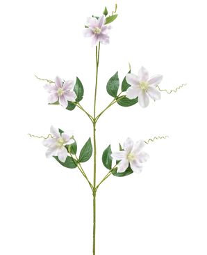 La fleur artificielle Celematis 78 cm blanche a une seule tige verte avec cinq fleurs blanches en forme d'étoile, de multiples feuilles vertes disposées symétriquement et des vrilles enroulées. Le fond est blanc uni.