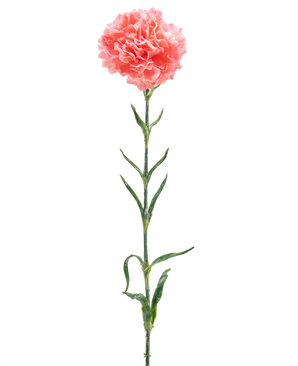 L'Œillet Fleur Artificielle 68 cm rose saumon est un œillet artificiel unique avec des volants de pétales rose saumon, une longue tige verte et plusieurs feuilles vertes, isolées sur un fond blanc.