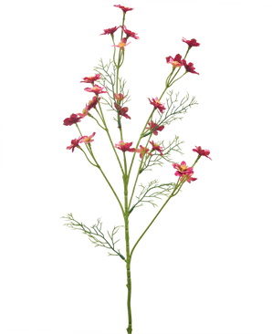 Une fleur sauvage artificielle de 68 cm de couleur rose foncé, avec de fines tiges vertes, des feuilles plumeuses et plusieurs petites fleurs rose vif sur fond blanc.