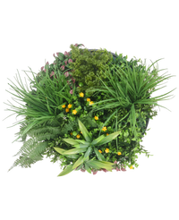Cadre vegetal artificiel Ø50 cm Cadre noir UV