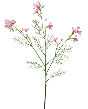 La Fleur Artificielle Wild Delphinium 71 cm rose clair possède une seule tige verte avec des feuilles plumeuses et plusieurs bouquets de délicates fleurs rose clair sur un fond blanc uni.