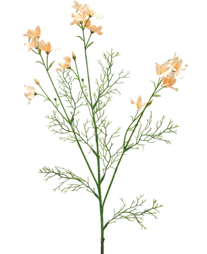 La Fleur Artificielle Wild Delphinium 71 cm crème clair possède une tige artificielle délicate avec des fleurs de couleur crème clair et de fines feuilles vert clair comme une plume, sur un fond blanc uni.