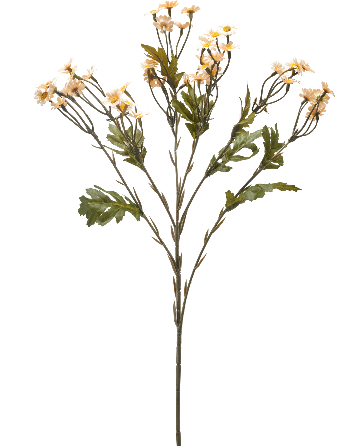 La Fleur Artificielle Mini Daisy 61 cm crème est une tige de fleur artificielle unique avec de multiples branches, des feuilles vertes et de petites fleurs de couleur crème ressemblant à des marguerites sur un fond blanc uni.
