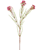 La Fleur Artificielle Wax 78 cm vieux rose a une seule tige verte avec de fines feuilles en forme d'aiguilles et des bouquets de petites fleurs vieux rose aux extrémités, isolées sur un fond blanc.
