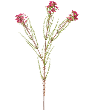 La Fleur Artificielle Wax 78 cm vieux rose a une seule tige verte avec de fines feuilles en forme d'aiguilles et des bouquets de petites fleurs vieux rose aux extrémités, isolées sur un fond blanc.