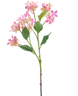 La Fleur Artificielle Hortensia Sauvage 62 cm rose possède une seule tige avec plusieurs bouquets de petites fleurs roses et blanches et des feuilles vertes, isolées sur un fond blanc.