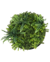 Cadre vegetal artificiel Ø50 cm UV Mousse Cadre noir