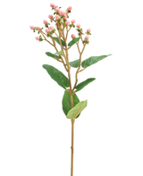 La Fleur Artificielle Hypericum 65 cm rose présente des bouquets de petits boutons floraux roses et des feuilles vertes sur une longue et fine tige brune, sur un fond uni blanc.