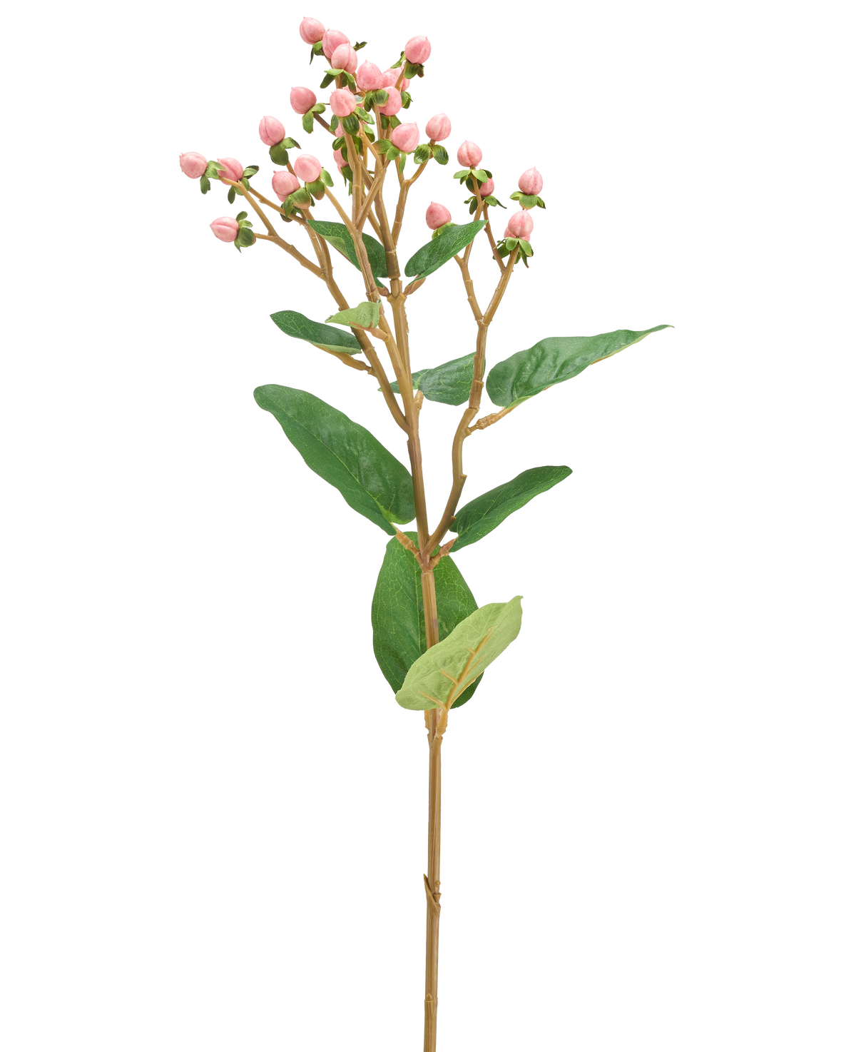 La Fleur Artificielle Hypericum 65 cm rose présente des bouquets de petits boutons floraux roses et des feuilles vertes sur une longue et fine tige brune, sur un fond uni blanc.