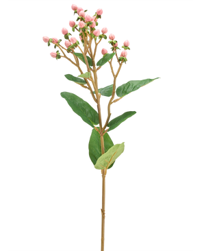 La Fleur Artificielle Hypericum 65 cm rose présente des bouquets de petits boutons floraux roses et des feuilles vertes sur une longue et fine tige brune, sur un fond uni blanc.