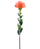 Une seule fleur artificielle Mini Protea de 61 cm orange avec une fleur orange vaporeuse et des feuilles vertes sur un fond blanc uni.