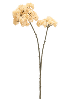 Deux grands sédums de fleurs artificielles mesurant 70 cm avec des tiges de couleur crème avec des tiges vert-brun et des bouquets de fleurs à pompons épineux de couleur crème sont présentés sur un fond blanc uni.
