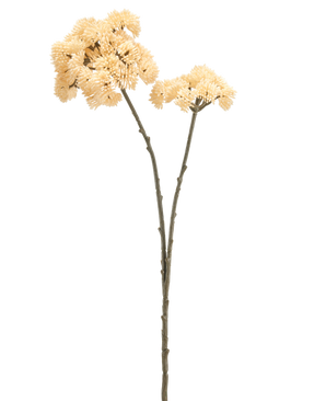 Deux grands sédums de fleurs artificielles mesurant 70 cm avec des tiges de couleur crème avec des tiges vert-brun et des bouquets de fleurs à pompons épineux de couleur crème sont présentés sur un fond blanc uni.