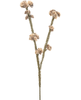 La fleur artificielle Ozothamnus diosmifolius 57 cm crème/marron a une seule tige séchée avec deux branches, chacune avec des grappes de petites fleurs rondes épineuses beiges et brunes sur un fond blanc uni.