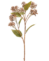 La Fleur Artificielle Sedum 67 cm marron possède une seule tige de plante artificielle brune et verte avec des grappes de petits bourgeons bruns et plusieurs feuilles vertes, isolées sur un fond blanc.