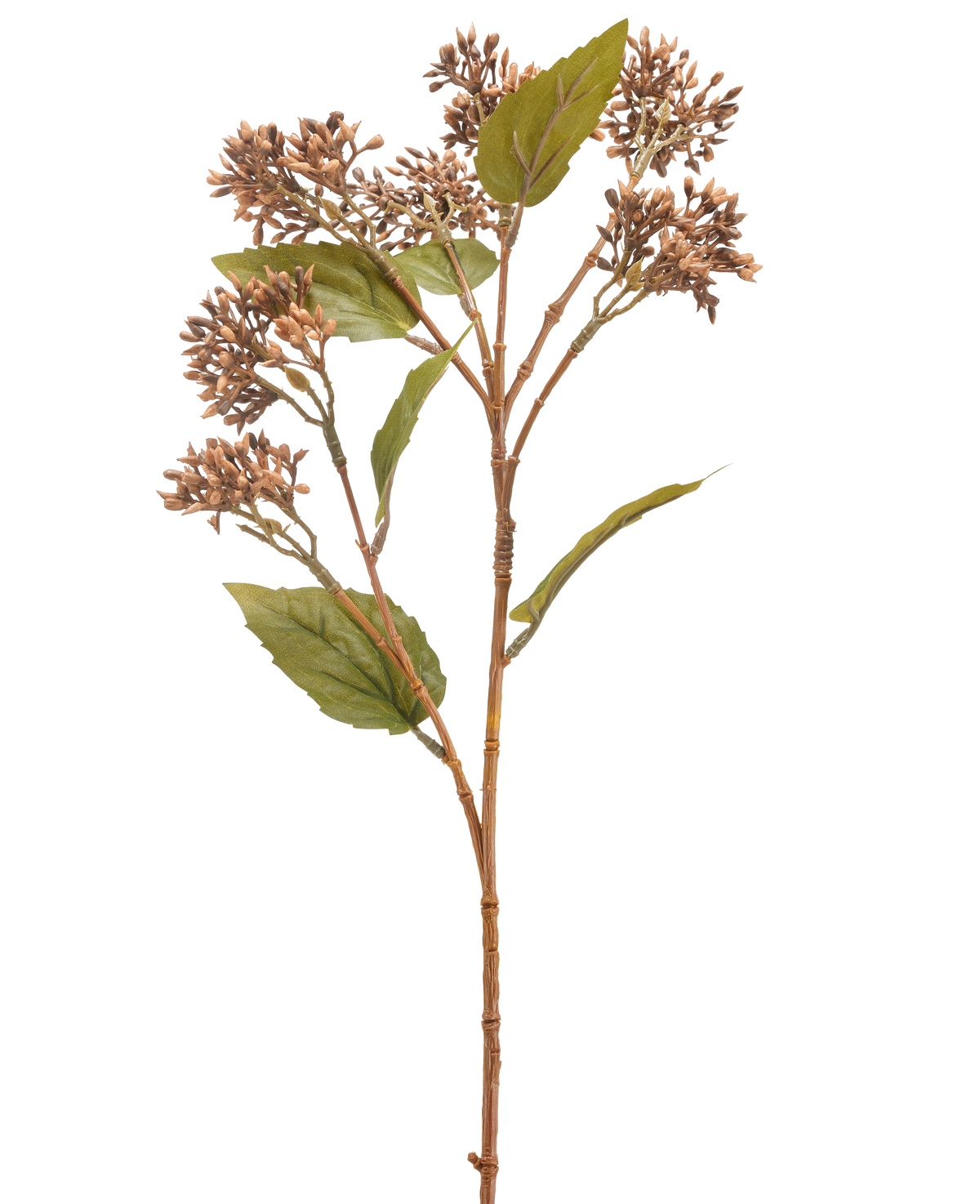 La Fleur Artificielle Sedum 67 cm marron possède une seule tige de plante artificielle brune et verte avec des grappes de petits bourgeons bruns et plusieurs feuilles vertes, isolées sur un fond blanc.